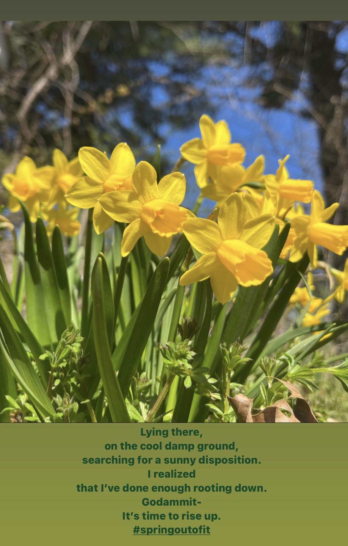Spring Out Of Spring Out Of It – Skip to My Lou, My Dharma